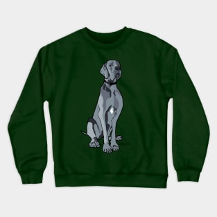 Coby Crewneck Sweatshirt